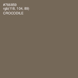 #766859 - Crocodile Color Image