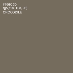 #766C5D - Crocodile Color Image