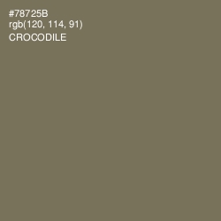 #78725B - Crocodile Color Image