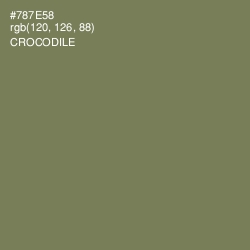 #787E58 - Crocodile Color Image