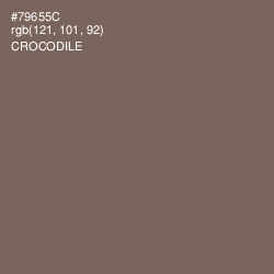 #79655C - Crocodile Color Image