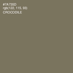 #7A735D - Crocodile Color Image