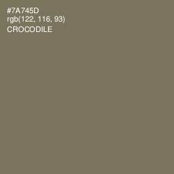 #7A745D - Crocodile Color Image