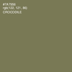 #7A7956 - Crocodile Color Image