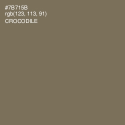 #7B715B - Crocodile Color Image