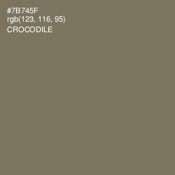 #7B745F - Crocodile Color Image