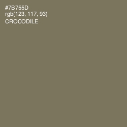 #7B755D - Crocodile Color Image
