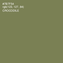 #7B7F54 - Crocodile Color Image