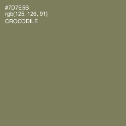 #7D7E5B - Crocodile Color Image
