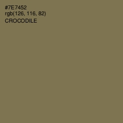 #7E7452 - Crocodile Color Image