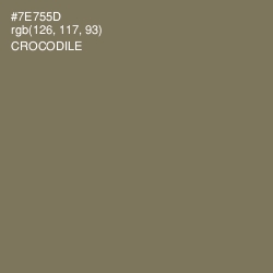#7E755D - Crocodile Color Image