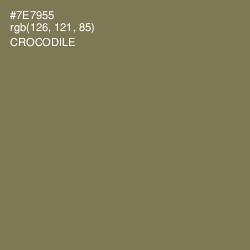 #7E7955 - Crocodile Color Image
