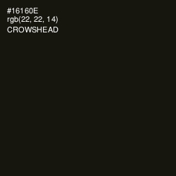 #16160E - Crowshead Color Image