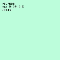 #BCFEDB - Cruise Color Image