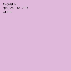 #E0B8DB - Cupid Color Image