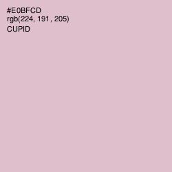 #E0BFCD - Cupid Color Image