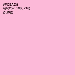 #FCBAD8 - Cupid Color Image