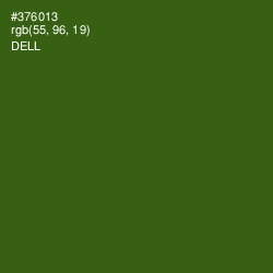 #376013 - Dell Color Image