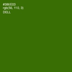 #386E03 - Dell Color Image