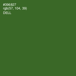 #396827 - Dell Color Image