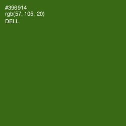 #396914 - Dell Color Image