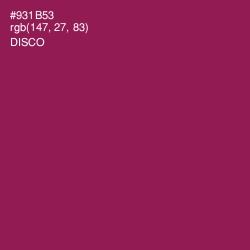 #931B53 - Disco Color Image