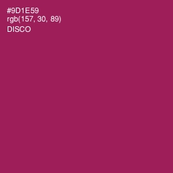 #9D1E59 - Disco Color Image