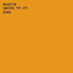 #E6971B - Dixie Color Image