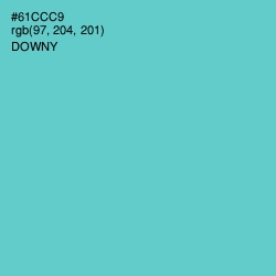 #61CCC9 - Downy Color Image