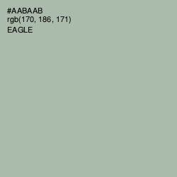 #AABAAB - Eagle Color Image