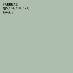 #AEBEAE - Eagle Color Image