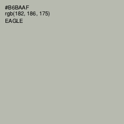 #B6BAAF - Eagle Color Image