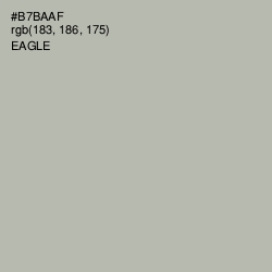 #B7BAAF - Eagle Color Image