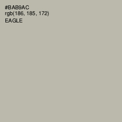 #BAB9AC - Eagle Color Image