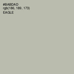 #BABDAD - Eagle Color Image