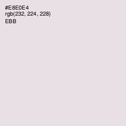 #E8E0E4 - Ebb Color Image