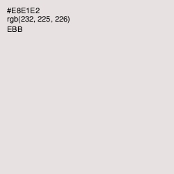 #E8E1E2 - Ebb Color Image
