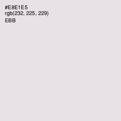 #E8E1E5 - Ebb Color Image