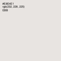 #E8E4E1 - Ebb Color Image