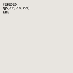 #E8E5E0 - Ebb Color Image