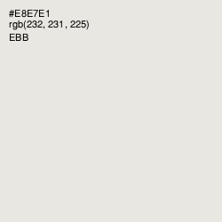#E8E7E1 - Ebb Color Image