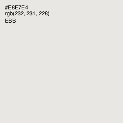 #E8E7E4 - Ebb Color Image