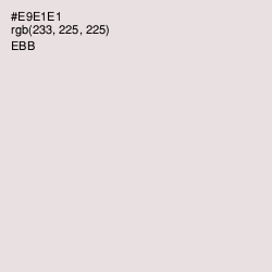 #E9E1E1 - Ebb Color Image