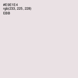 #E9E1E4 - Ebb Color Image