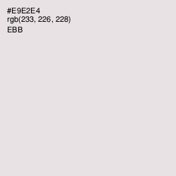 #E9E2E4 - Ebb Color Image