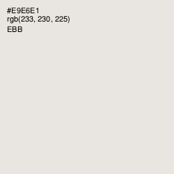 #E9E6E1 - Ebb Color Image