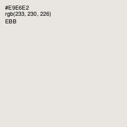 #E9E6E2 - Ebb Color Image