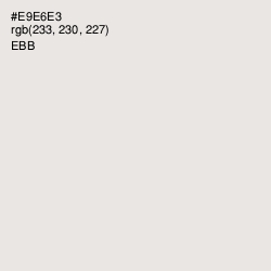 #E9E6E3 - Ebb Color Image