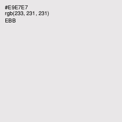 #E9E7E7 - Ebb Color Image