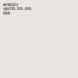 #EBE5E2 - Ebb Color Image